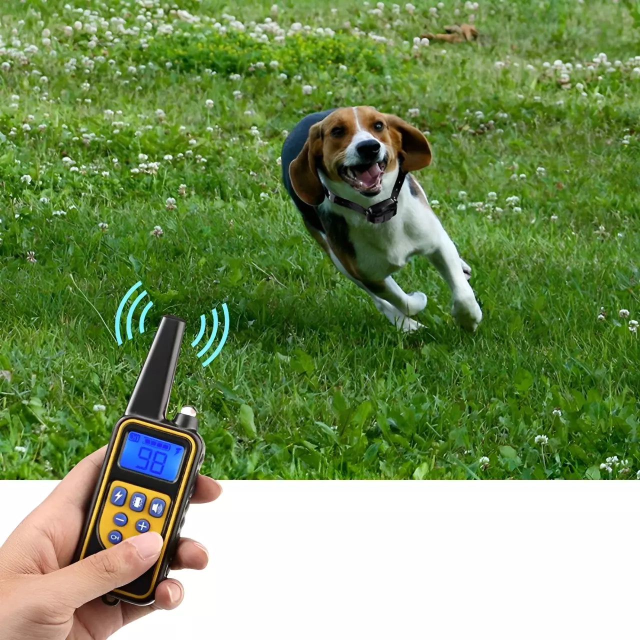 Coleira De Choque Adestramento Para Cães - Inteligente e Moderna