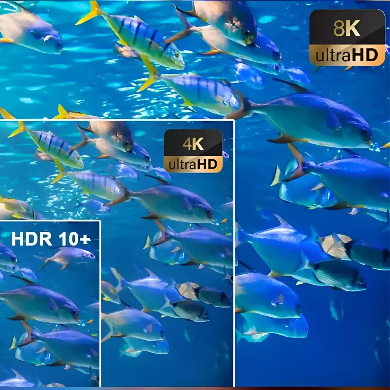 tv box android
tv box
transpeed
tv box transpeed
iptv box
box tv
mi box
ip tv box
smart tv box
tv box 4k