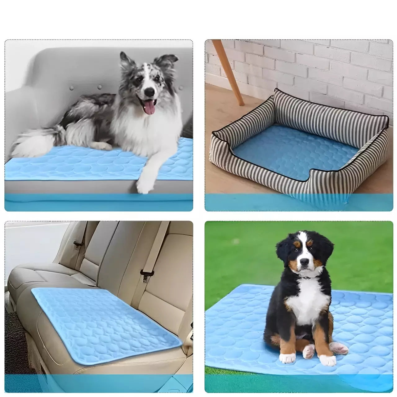 Tapete gelado pet
tapete gelado
tapete gelado para cachorro
tapete refrescante pet
tapete gelado pet grande
tapete gelado para pet
tapete gelado para cães
tapete gelado para gatos
tapete gelado gato